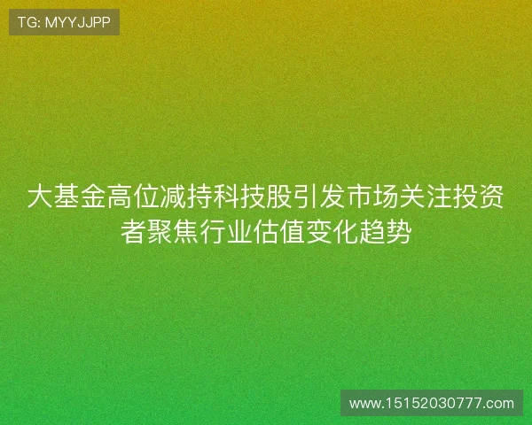 大基金高位减持科技股引发市场关注投资者聚焦行业估值变化趋势 大基金高位减持科技股引发市场关注投资者聚焦行业估值变化趋势